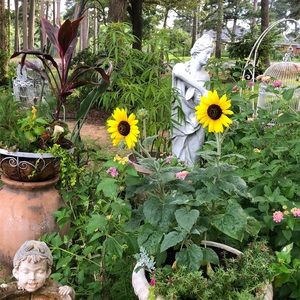 Reserved for 12 monkeys